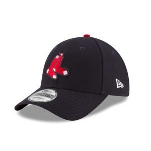 New Era Cap Looney Tunes Coyote and Wille