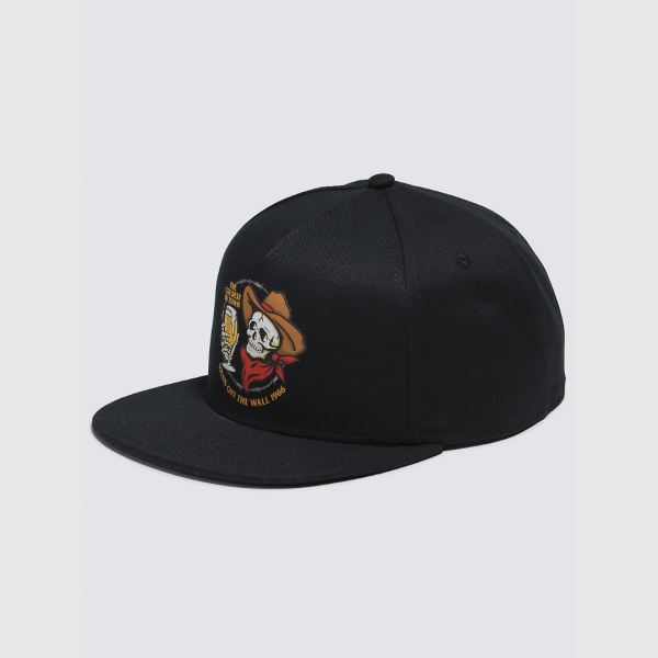 Cap Vans Plane