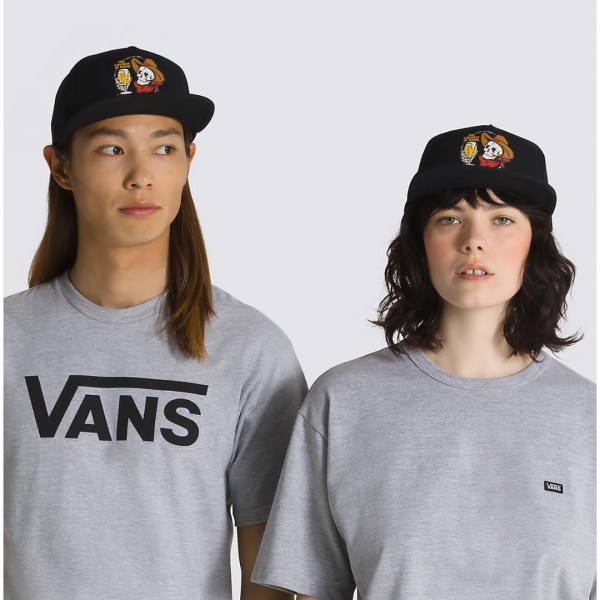 Cap Vans Plane