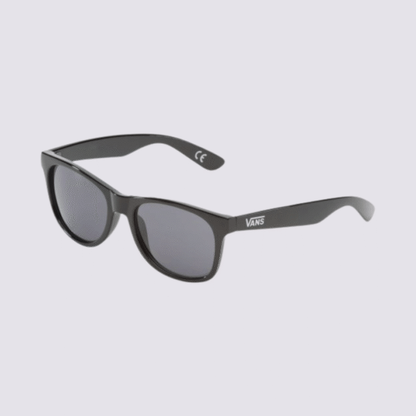 IGR241125104 Vans Gafas Classic Black