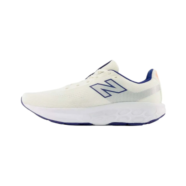 NB160520263 New Balance 520 Fresh Foam Whi Mn