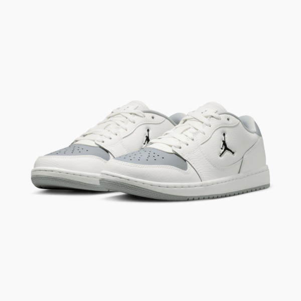 Nike Jordan Court Connect Low Wm