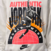 NIKE10042026204 Nike Jordan Hoodie Brooklyn Fleece Whi Mn