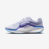 Nike Winflo 11 Run Blu Mn
