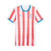 CAMISETA PARAGUAY 2026 | T S