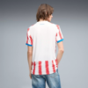 Puma Camiseta Home Fifa 2026 Paraguay Mn