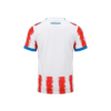 Puma Fifa 2026 Paraguay Kids