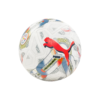 Puma Ball Classic Py